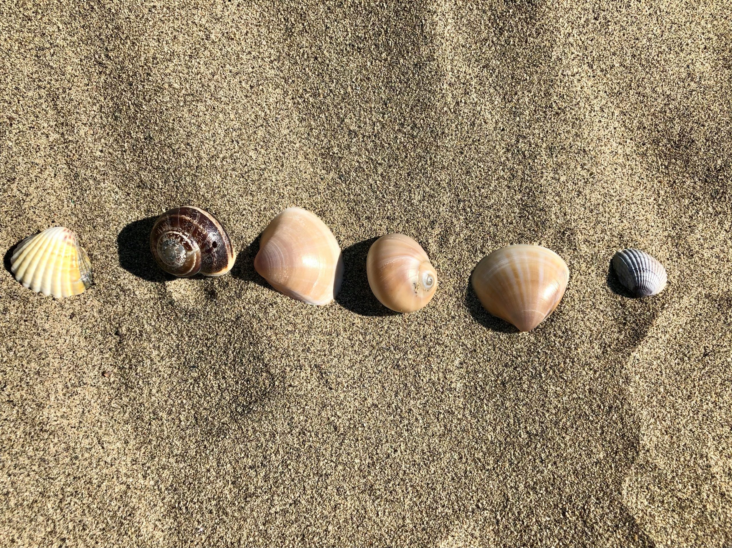 E-Öğrenmede Erişilebilirlik: Herkes İçin Daha İyi Bir Deneyim!