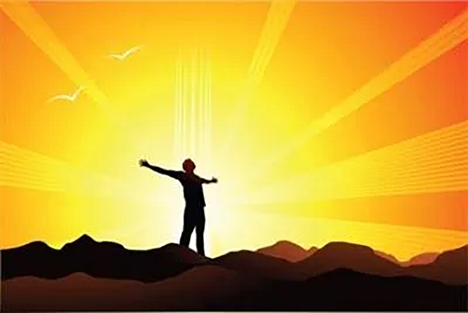 Neden Her Sabah Kurbağa Yemeliyiz?