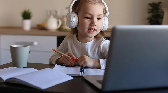 Sizce E-Öğrenme Üretimi Ekonomik mi yoksa Pahalı mıdır?